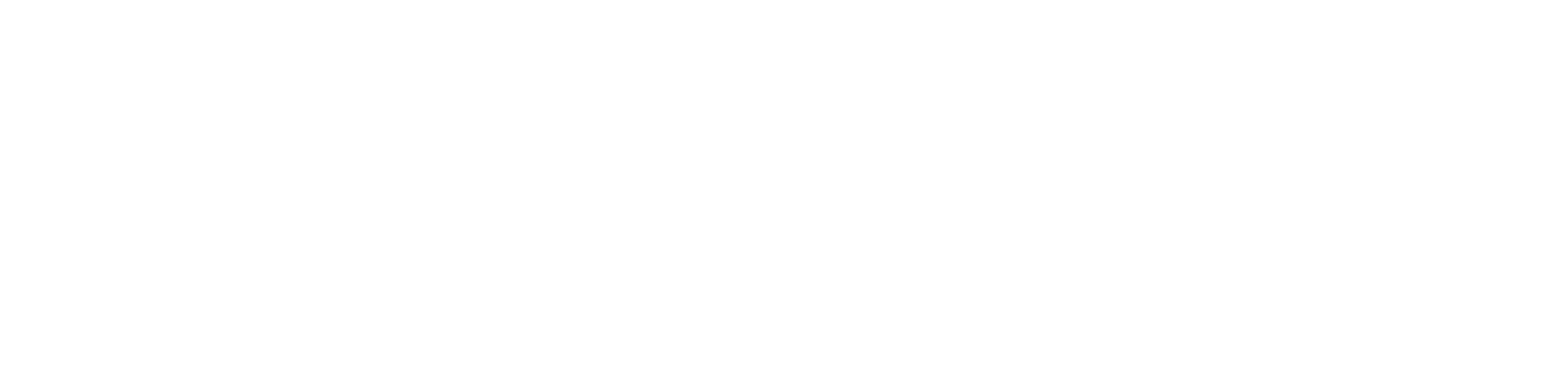 Humanize_IT_Horizontal_White-4
